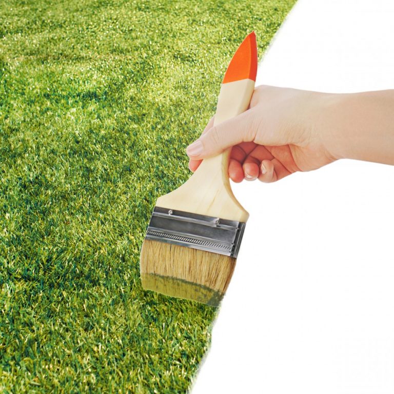 The Best EcoFriendly Way to Clean Paint Brushes Eco Paint My House