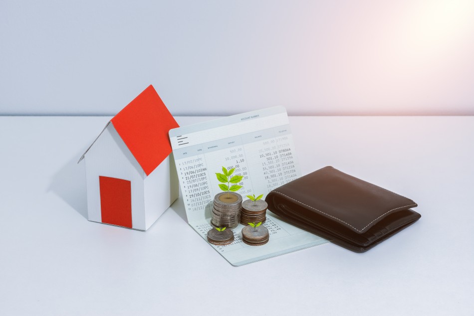 Is Expensive Paint Worth the Extra Money? Eco Paint My House